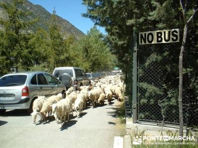 Multiaventura - Parque Nacional de Aigüestortes; rutas por la sierra